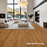 Terra Nova